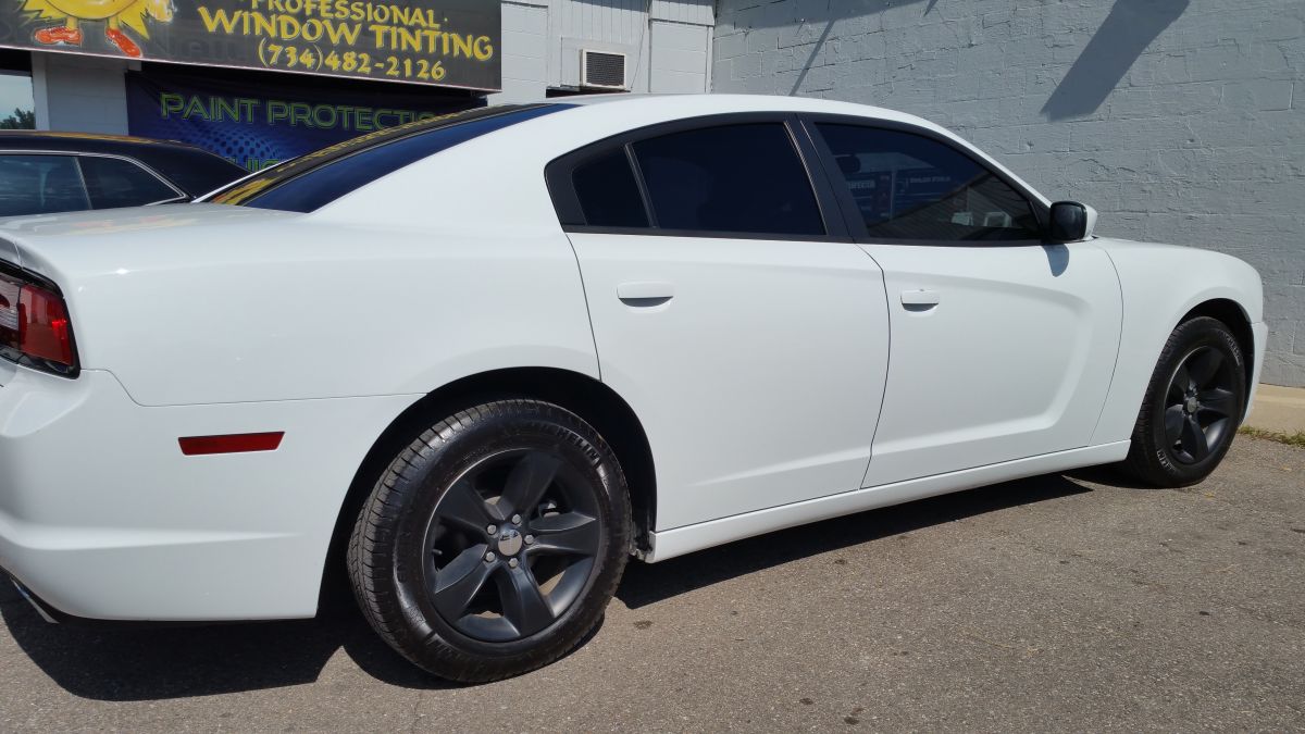 2015 charger 15 dp 5 back ss 3.jpg